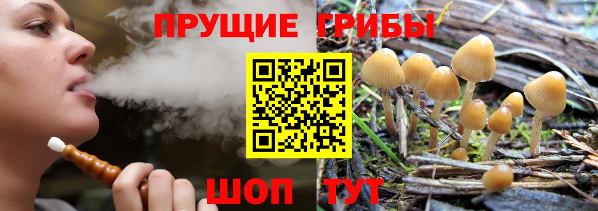 Галлюциногенные грибы MAGIC MUSHROOMS  Вход с VPN  закладки  Псилоцибиновые грибы Psilocybine cubensis  Энгельс 